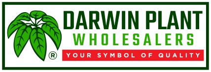 DARWIN PLANT WHOLESALERS